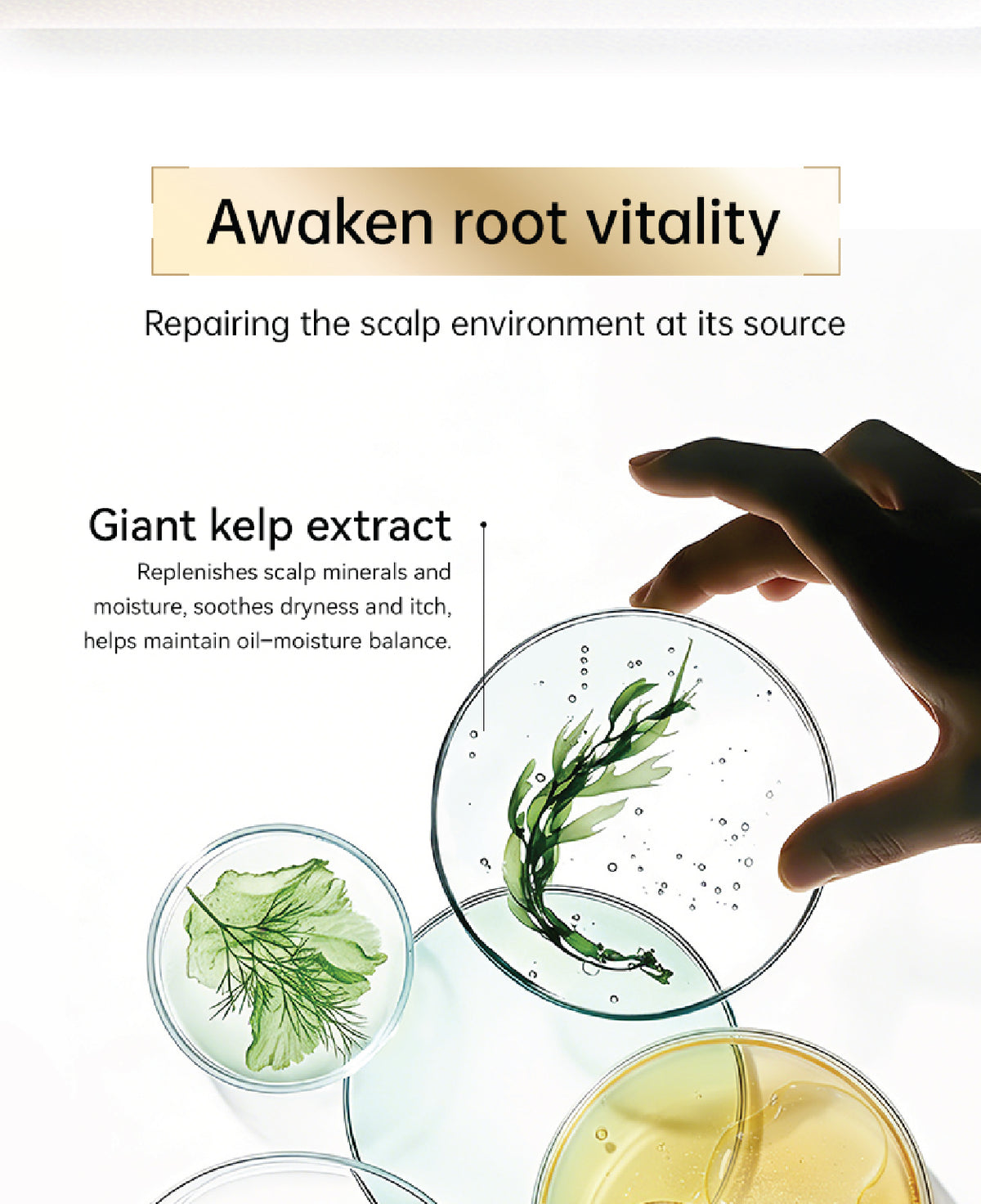 Seika ZEN Root Renewal Hair Treatment 180ml