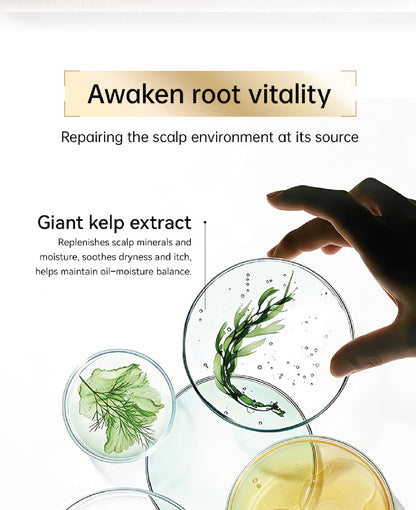 Seika ZEN Root Renewal Hair Treatment 180ml